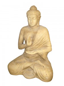 big-sittingbuddharaisin