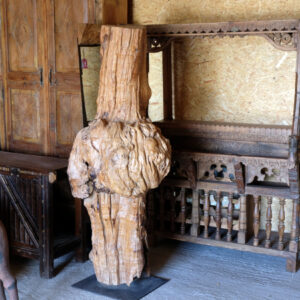 Uralter Teakbaum-Stamm