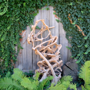 Teakholz Wurzelskulptur