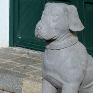 frostsicherer wachhund aus indonesien