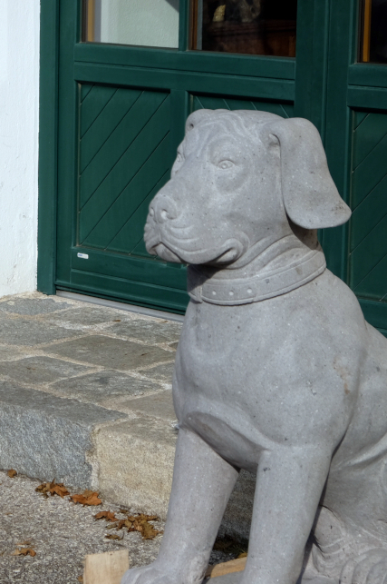 frostsicherer wachhund aus indonesien