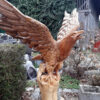 adler aus teakholz