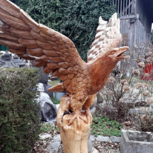 adler aus teakholz