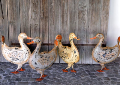 Bunte Gans