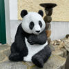 lebensechter panda aus frostsicherem steinguss