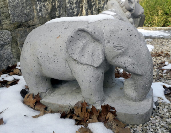 elefant