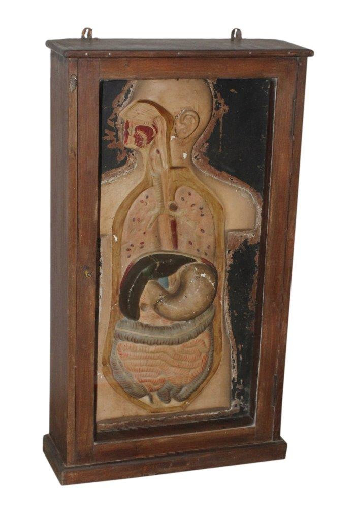 Anschauungsunterricht für Medizinstudenten