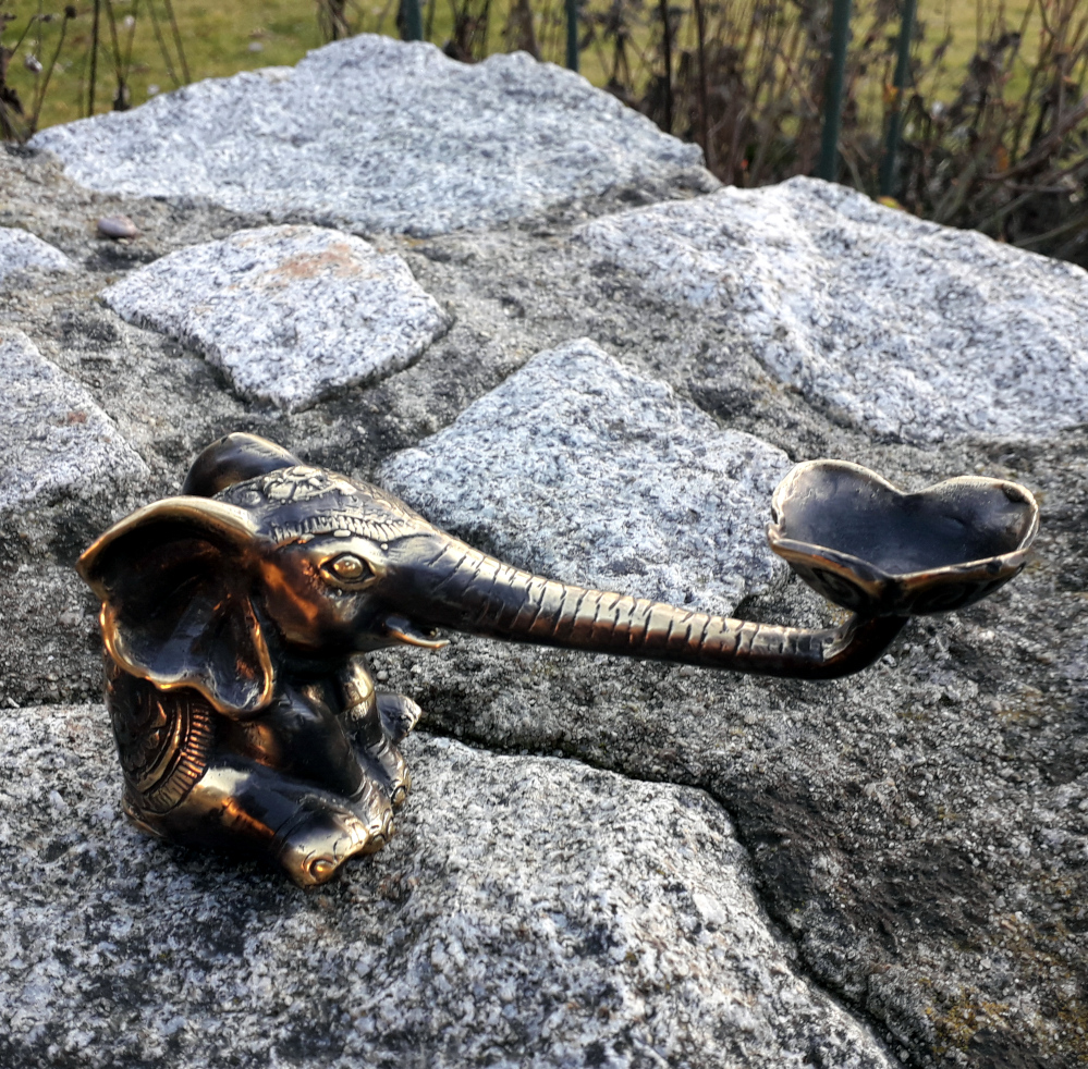 elefant mit langem ruessel