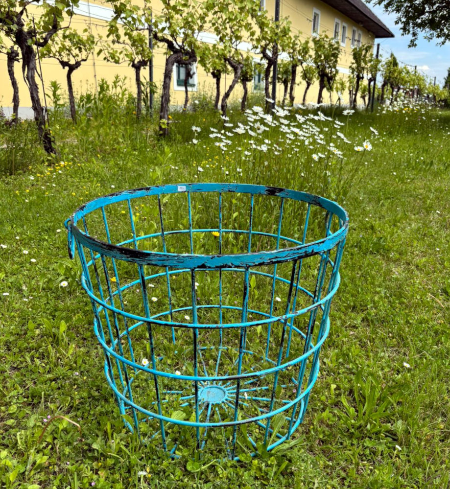blauer korb aus eisen