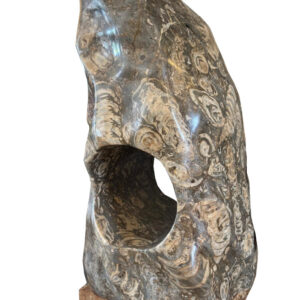 skulptur mit fossilen versteinerungen