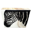 afrika bild zebra