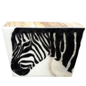 afrika bild zebra