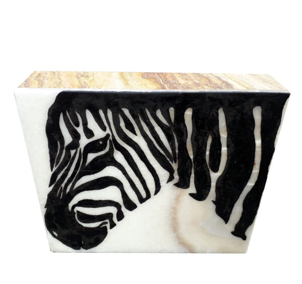 afrika bild zebra