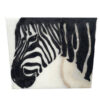 zebrabild aos onyx